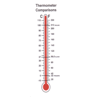 Thermometer Transparent PNG Image
