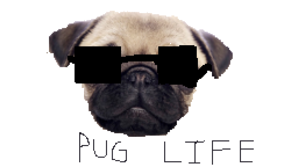 Pug Life Clipart PNG Image