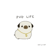 Pug Life Image Transparent PNG Image
