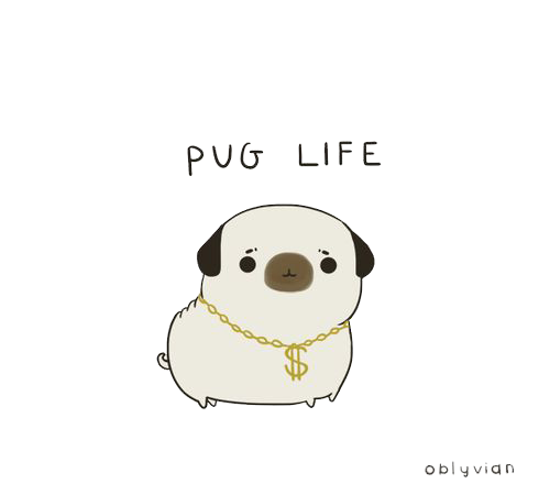 Pug Life Image PNG Image