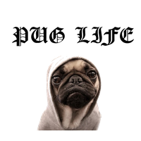 Pug Life File Transparent PNG Image