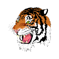 Download Tiger Free PNG photo images and clipart | FreePNGImg