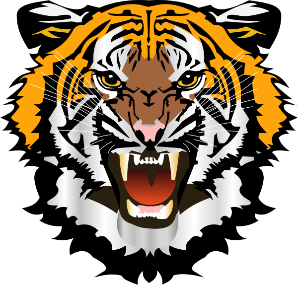Download Tiger Face File Hq Png Image Freepngimg