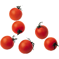 Tomato Png Image