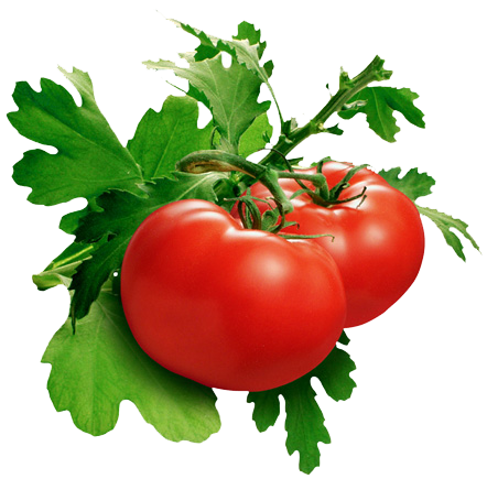 Tomato Png Pic PNG Image
