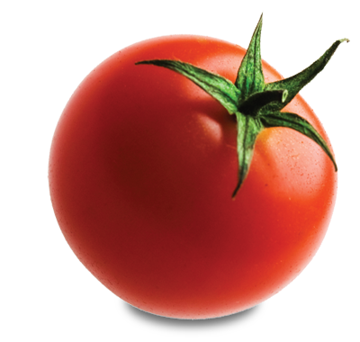 Tomato Picture PNG Image