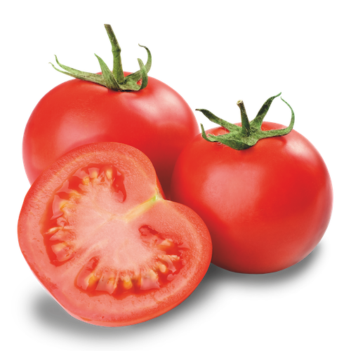 Fresh Tomatoes Bunch Free HQ Image PNG Image