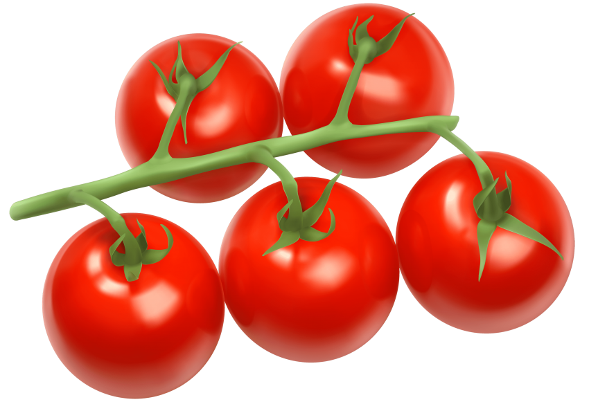 Fresh Juicy Tomatoes Bunch Free Clipart HQ Transparent PNG Image