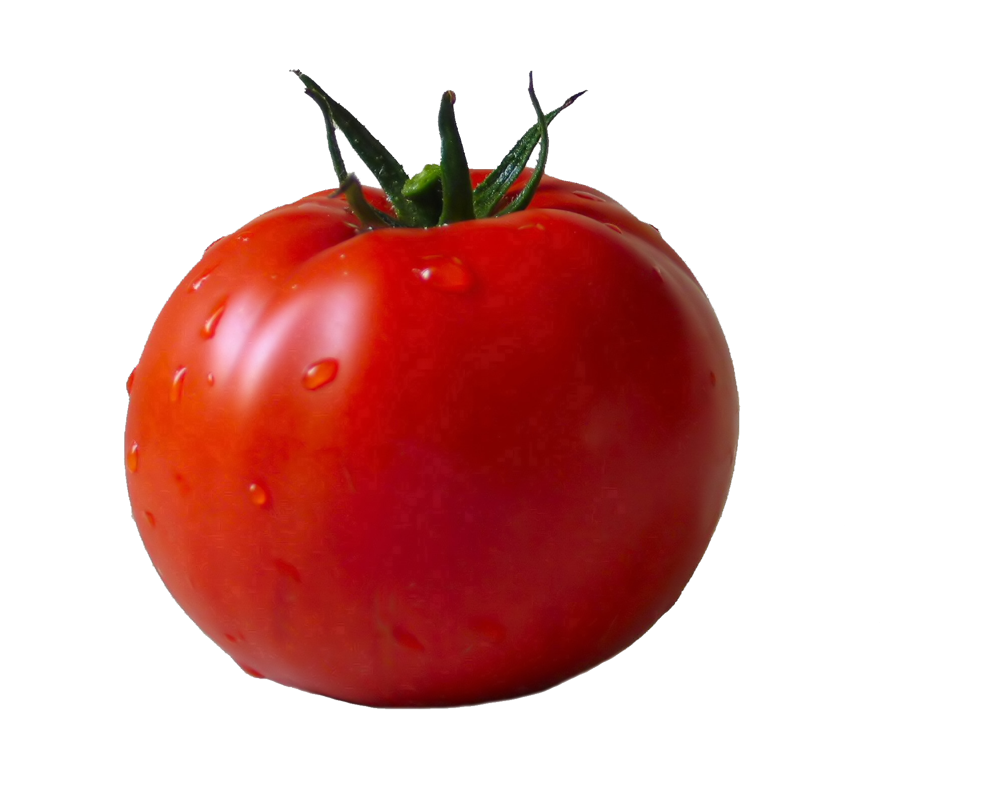 Fresh Tomatoes Red Bunch Free Transparent Image HD PNG Image