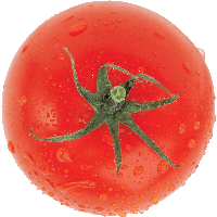 Tomato Png Image PNG
