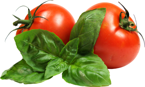 Tomato Download Png PNG Image