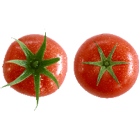 download tomato free png photo images and clipart freepngimg download tomato free png photo images