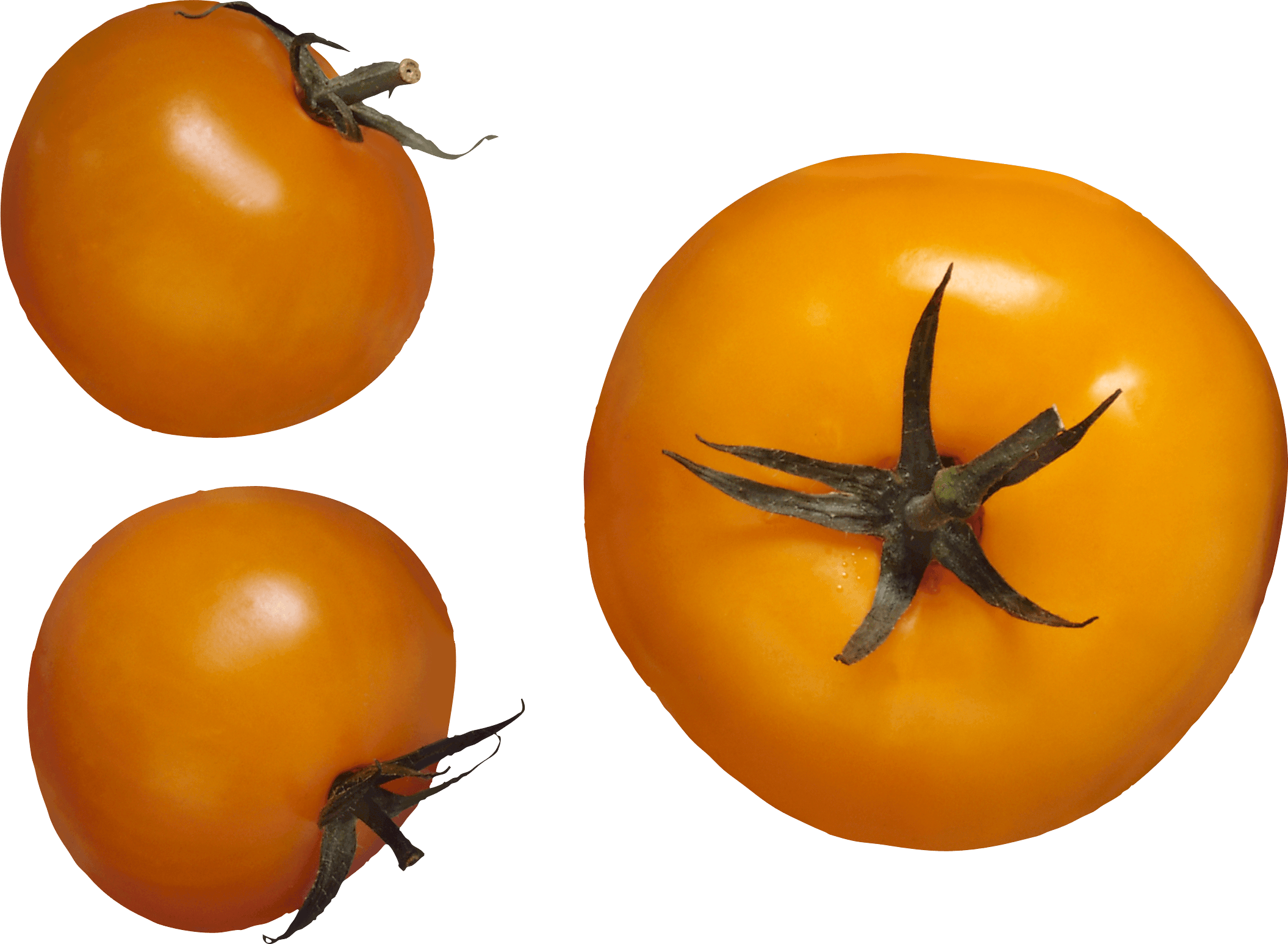 Yellow Tomato Png Image PNG Image