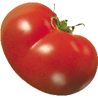 Tomato Png Image