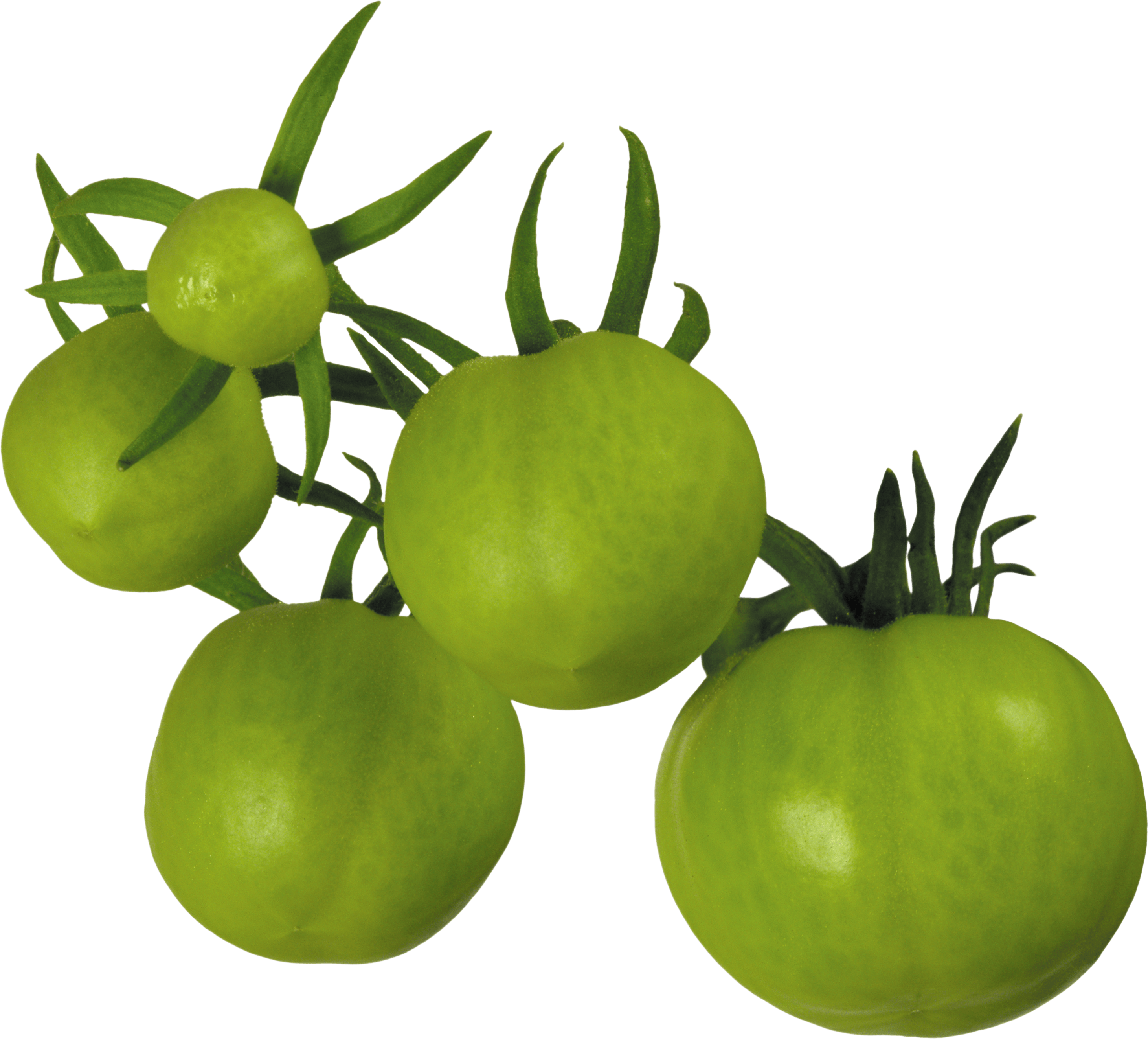 Green Tamato Png Image PNG Image