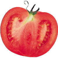 Tomato Png Image PNG