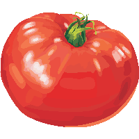 Tomato Png Image PNG