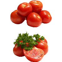 Download Tomato Free Png Photo Images And Clipart Freepngimg
