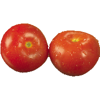 Tomato Png Image PNG