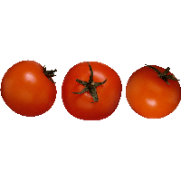 Tomato Png Image