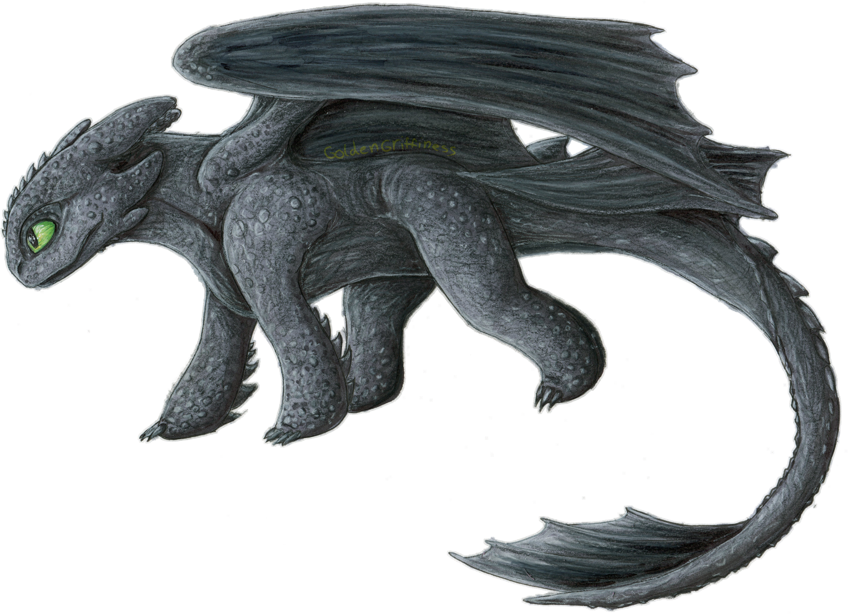 Toothless Dragon Free HQ Image PNG Image