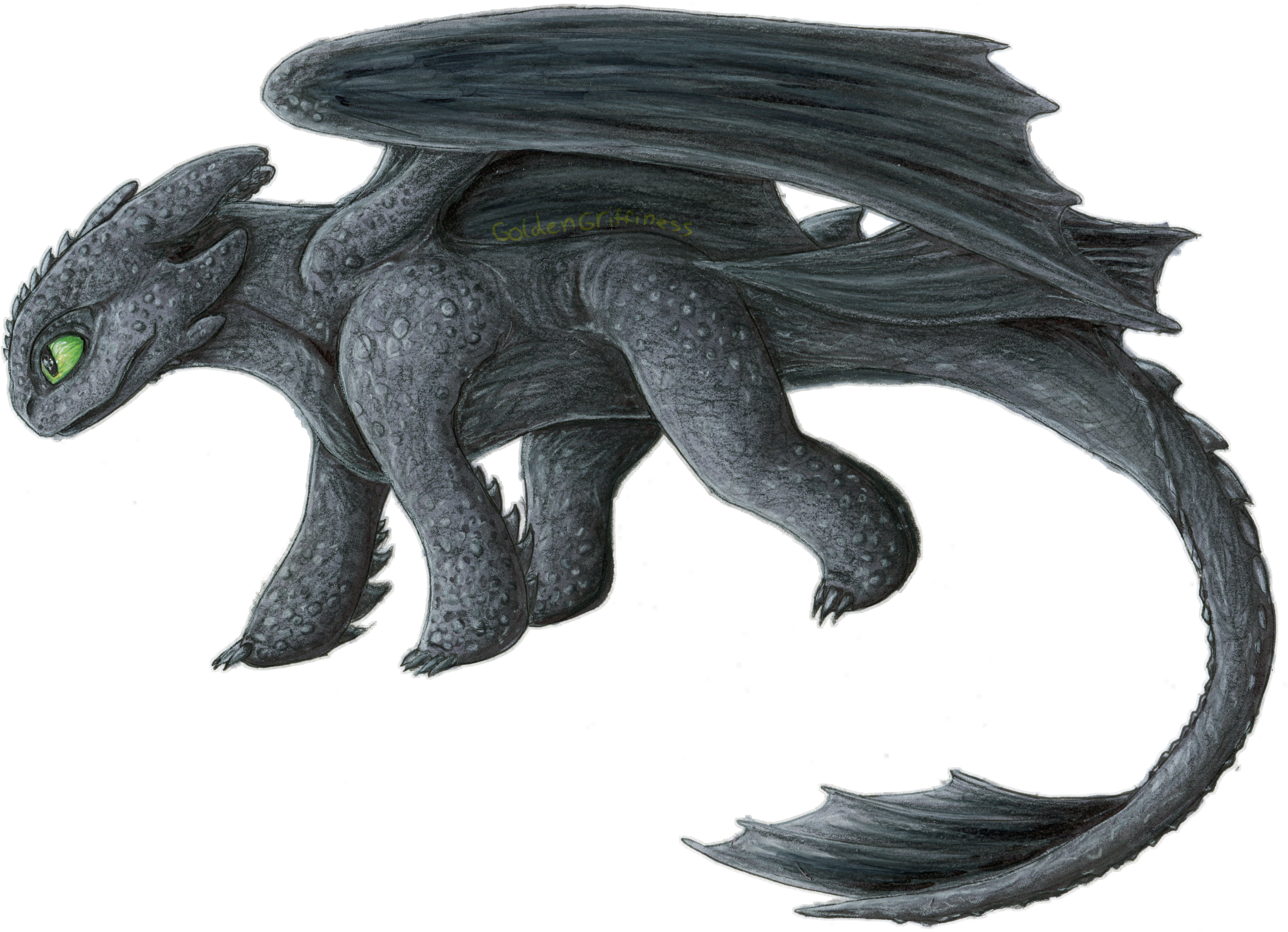 Toothless Dragon Free PNG HQ  Toothless dragon, Dragon, Toothless