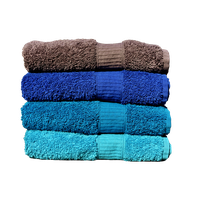 Towel PNG