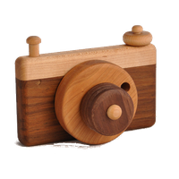 Wooden Toy Photo PNG Image
