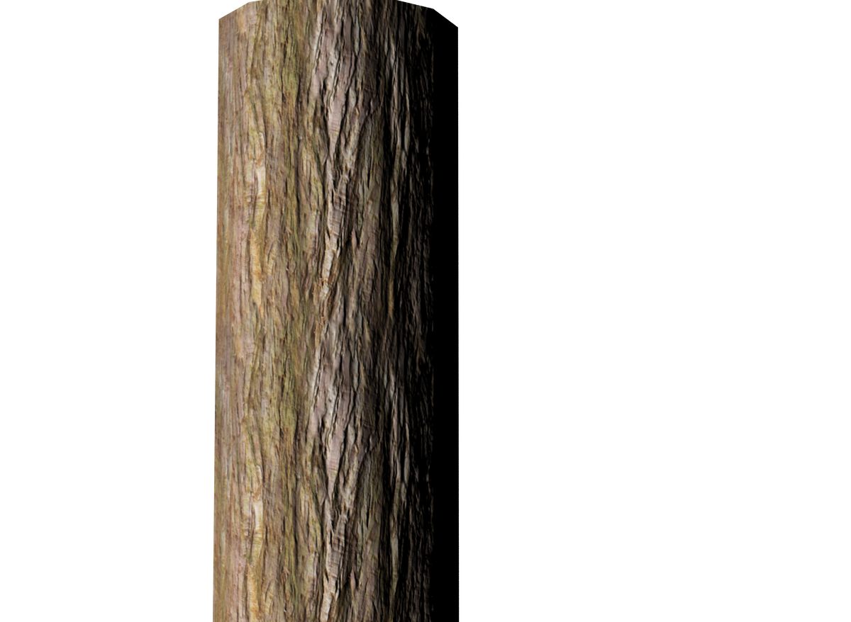 Tree Branch Trunk Free Transparent Image HD PNG Image