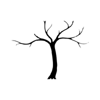 Download Tree Free Png Photo Images And Clipart 