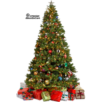 Christmas Tree Transparent Background PNG Image