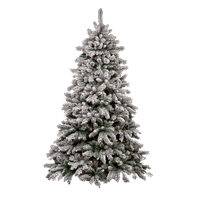 Christmas Tree Photos PNG Image