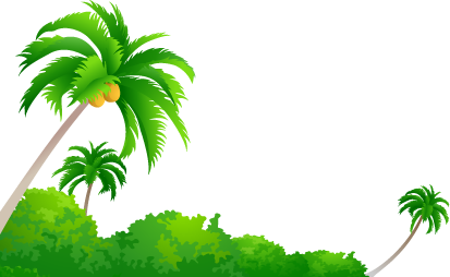 Coconut Tree Image PNG Image