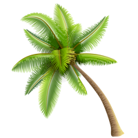 Coconut Tree Transparent Image