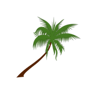 Coconut Tree Free Download PNG
