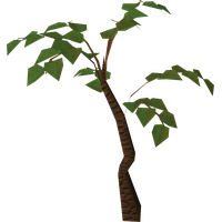 Jungle Tree Hd Transparent PNG Image