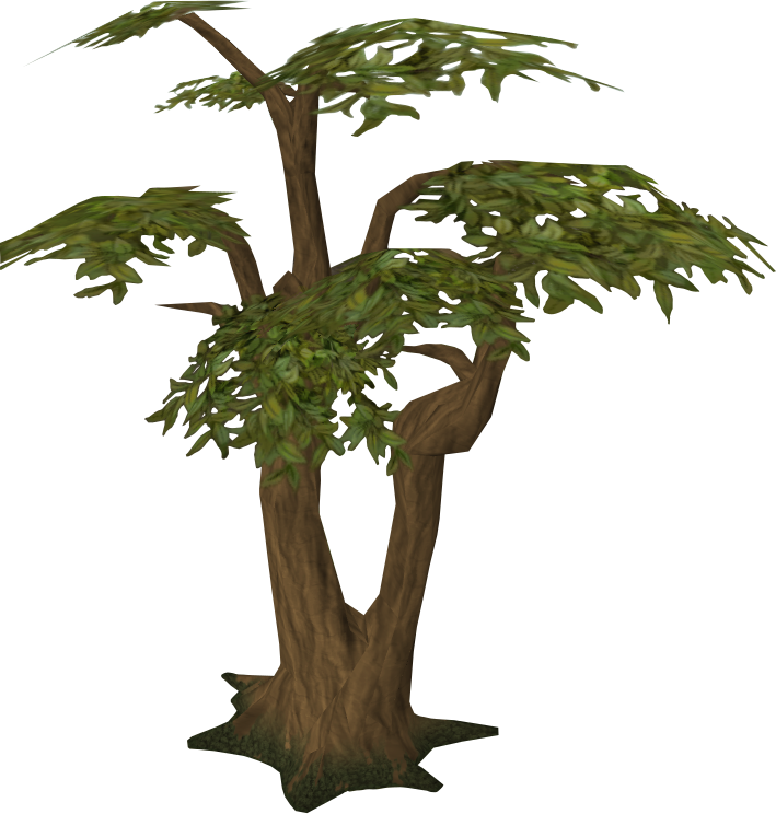 Jungle Tree Transparent Picture PNG Image