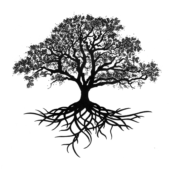 Oak Silhouette Tree Drawing Trees PNG Download Free PNG Image