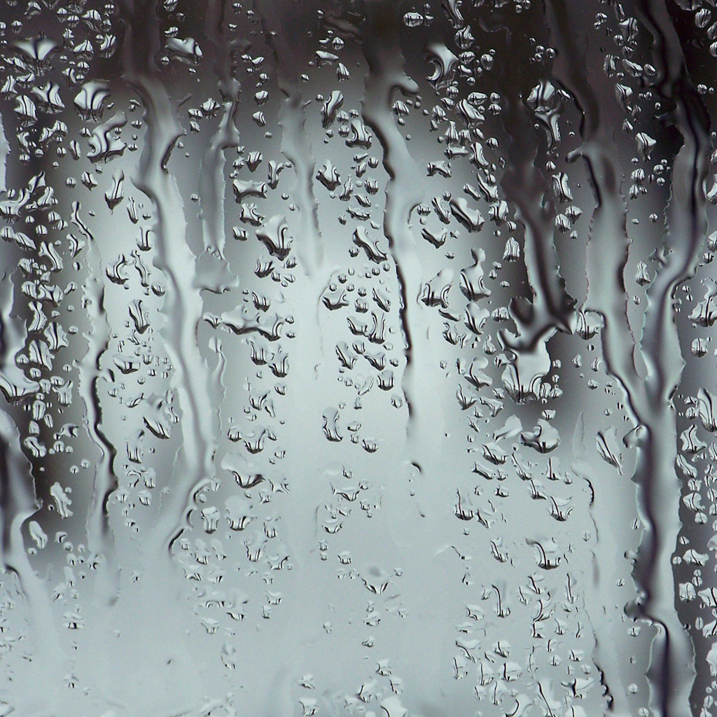 Frost Window Drop Tree Rain Free Download PNG HD PNG Image