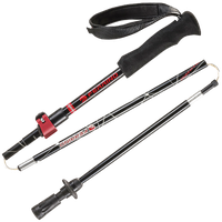 Trekking pole PNG Image