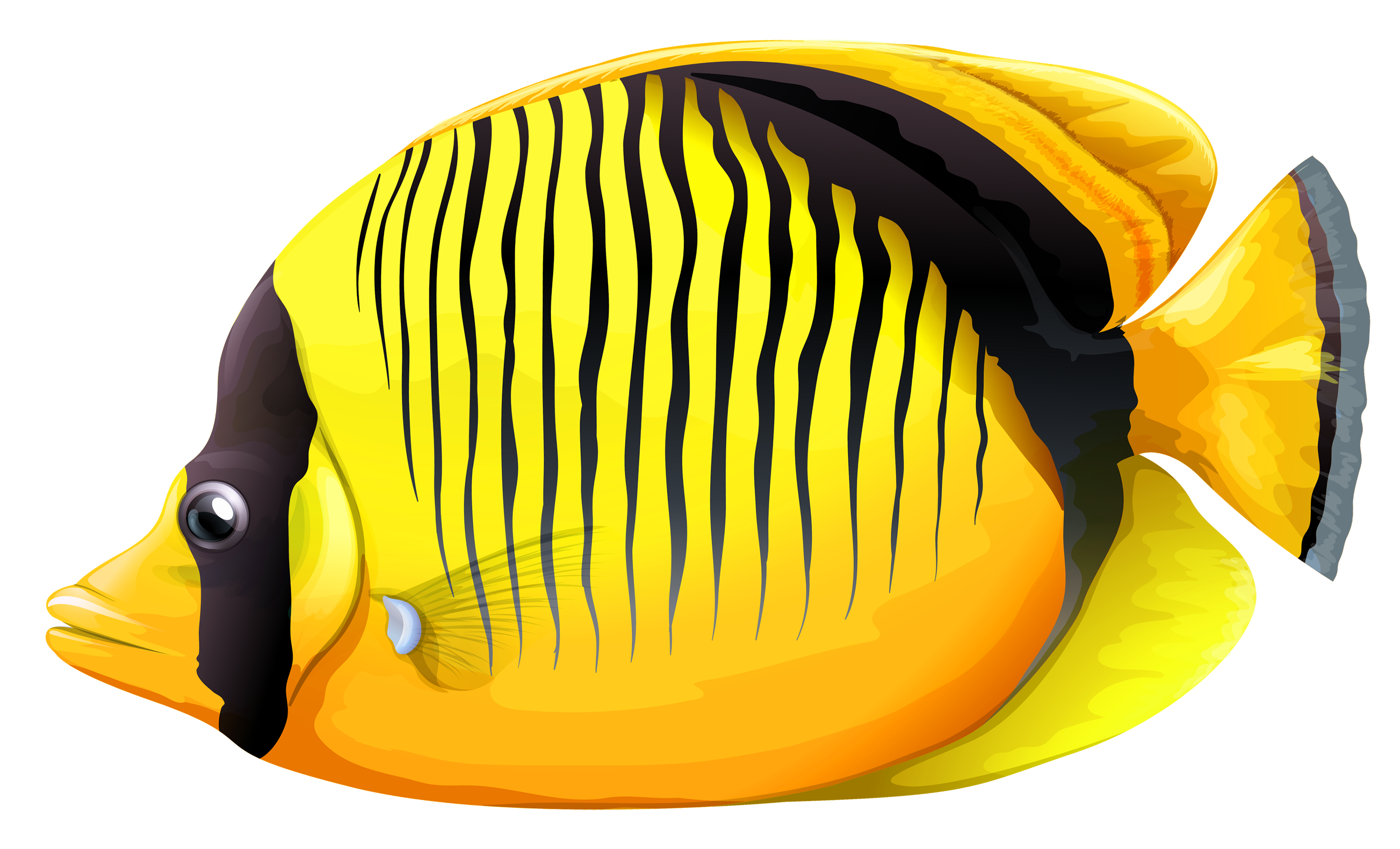 tropical fish png