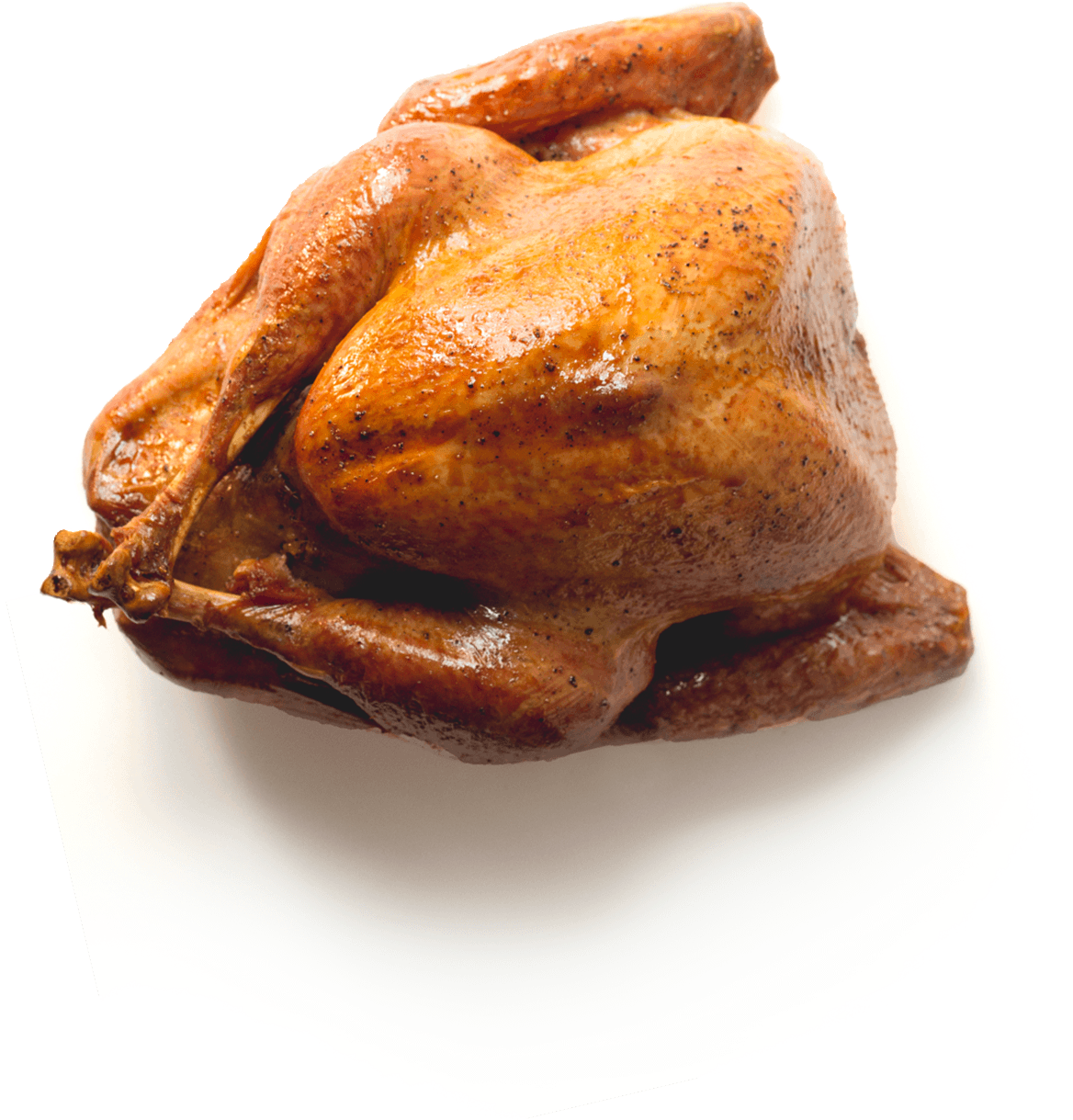 Turkey PNG Image