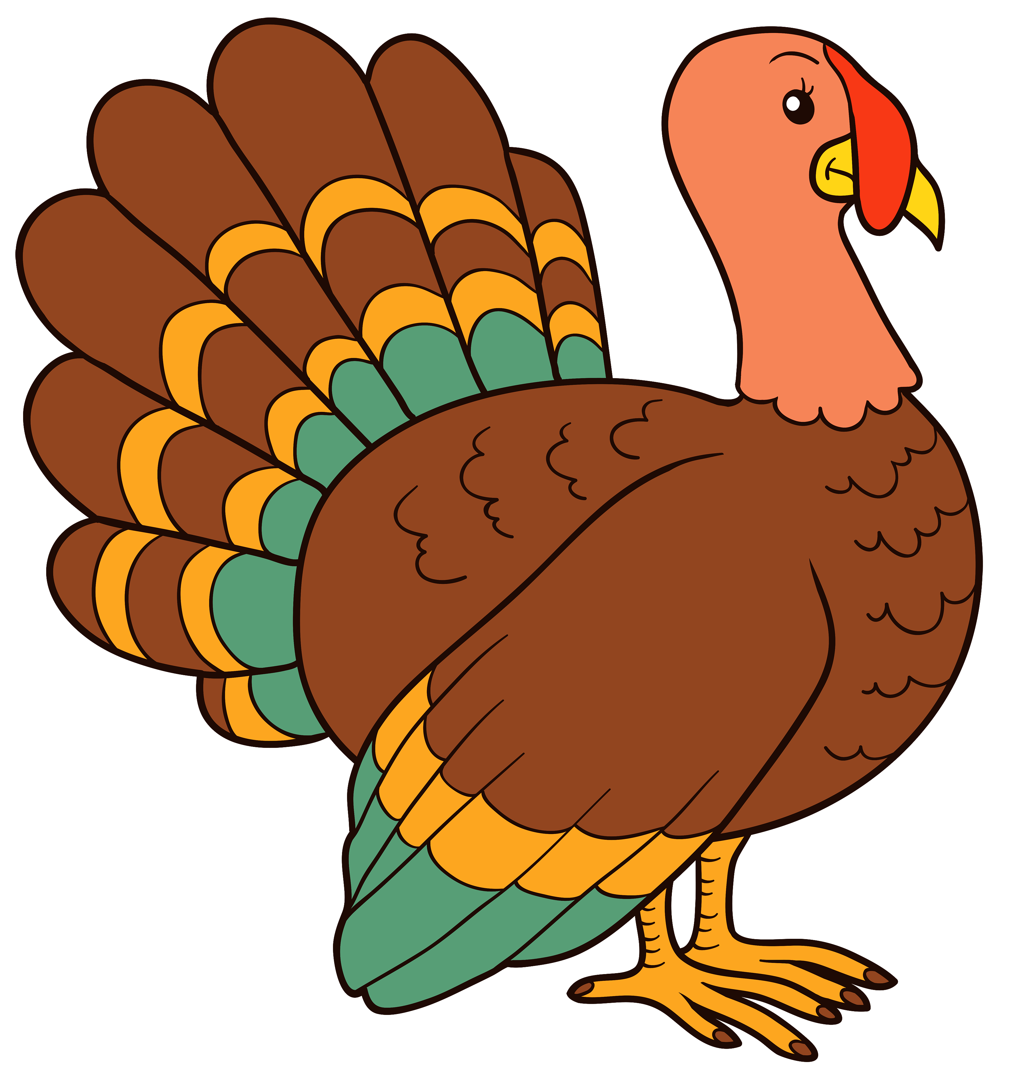 Download Turkey Image HQ PNG Image FreePNGImg