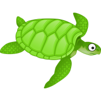 Turtle Photos Green Free Clipart HQ PNG Image