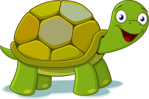 Turtle Pic Green HQ Image Free PNG Image