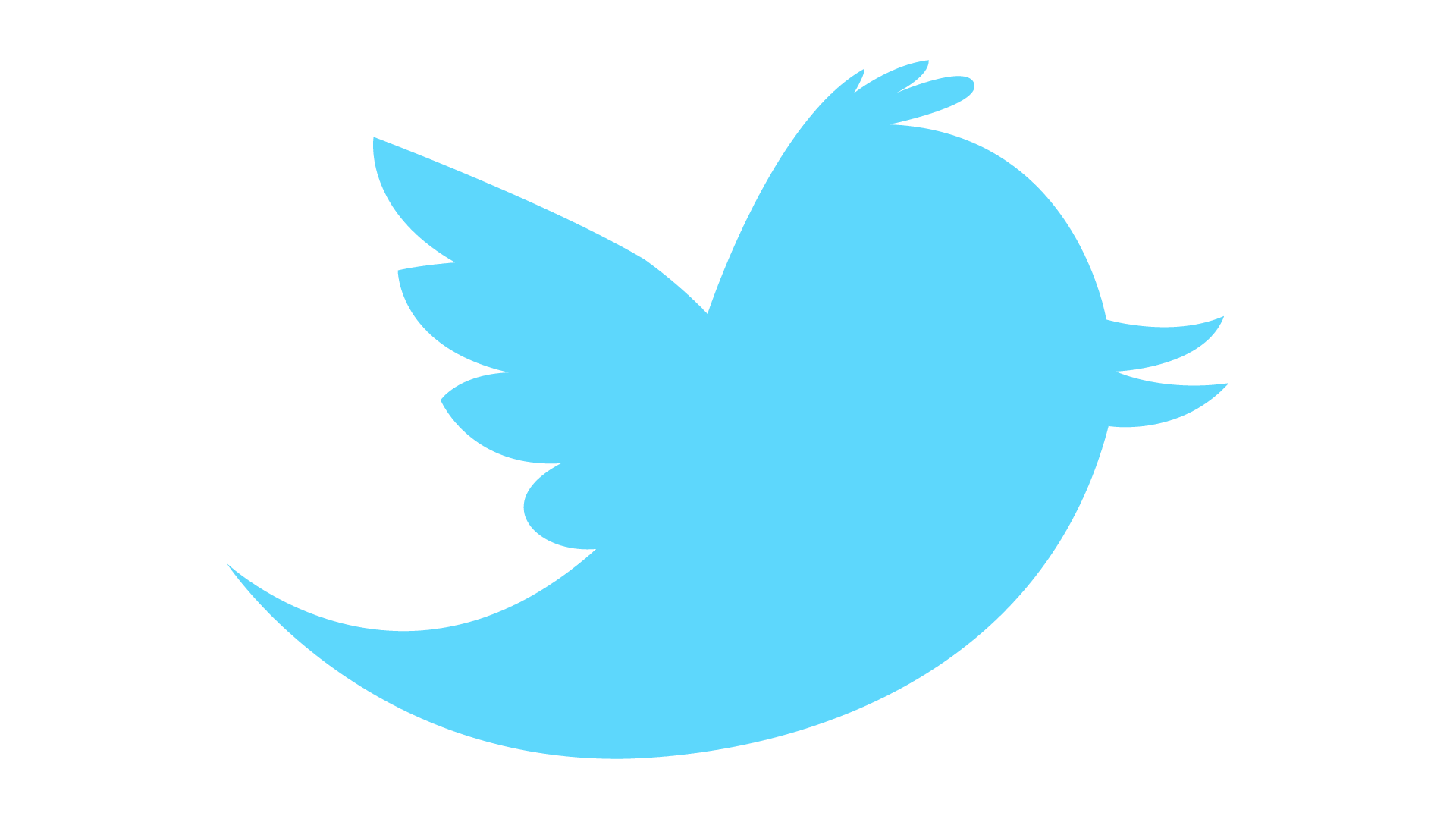 Download Twitter Transparent Hq Png Image Freepngimg