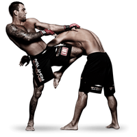 Ufc