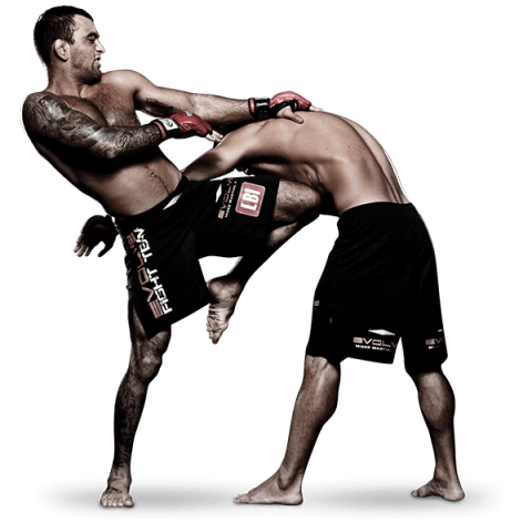 Ufc Transparent PNG Image