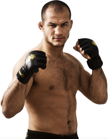 Ufc Transparent PNG Image