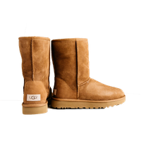 Ugg boots PNG